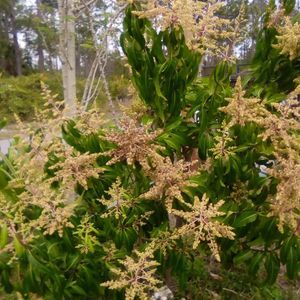 Meet your Posher, Vilma